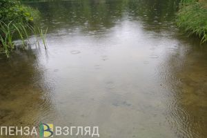 Жителям Пензенской области пообещали ухудшение погоды