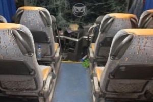 ДТП с рейсовым автобусом, две смерти от коронавируса и голый мужчина: новости Пензенской области за 8 июня