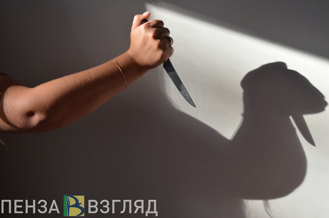 Житель Никольского района обвинил свою зазнобу в причинении ножевых ранений