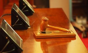 Житель Пензенской области высадил дома наркотическую плантацию
