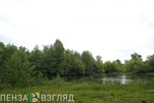 Пензенские добровольцы рассказали, как был найден дезориентированный мужчина