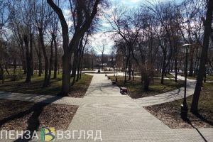 Продление режима повышенной готовности, встреча губернатора с президентом и отключение воды - новости Пензы за 11 июня