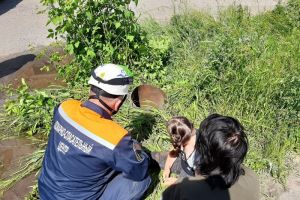 В Пензе девочка провалилась в трубу и получила травмы