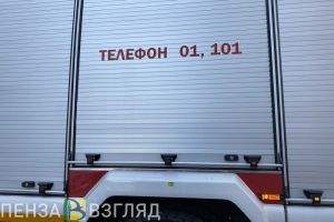 В Пензенской области хозяин дома погиб при пожаре