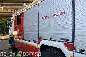 При пожаре на проспекте Победы в Пензе пострадали двое молодых мужчин
