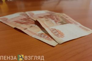 120 тысяч рублей лишили мошенники жительницу Пензенской области