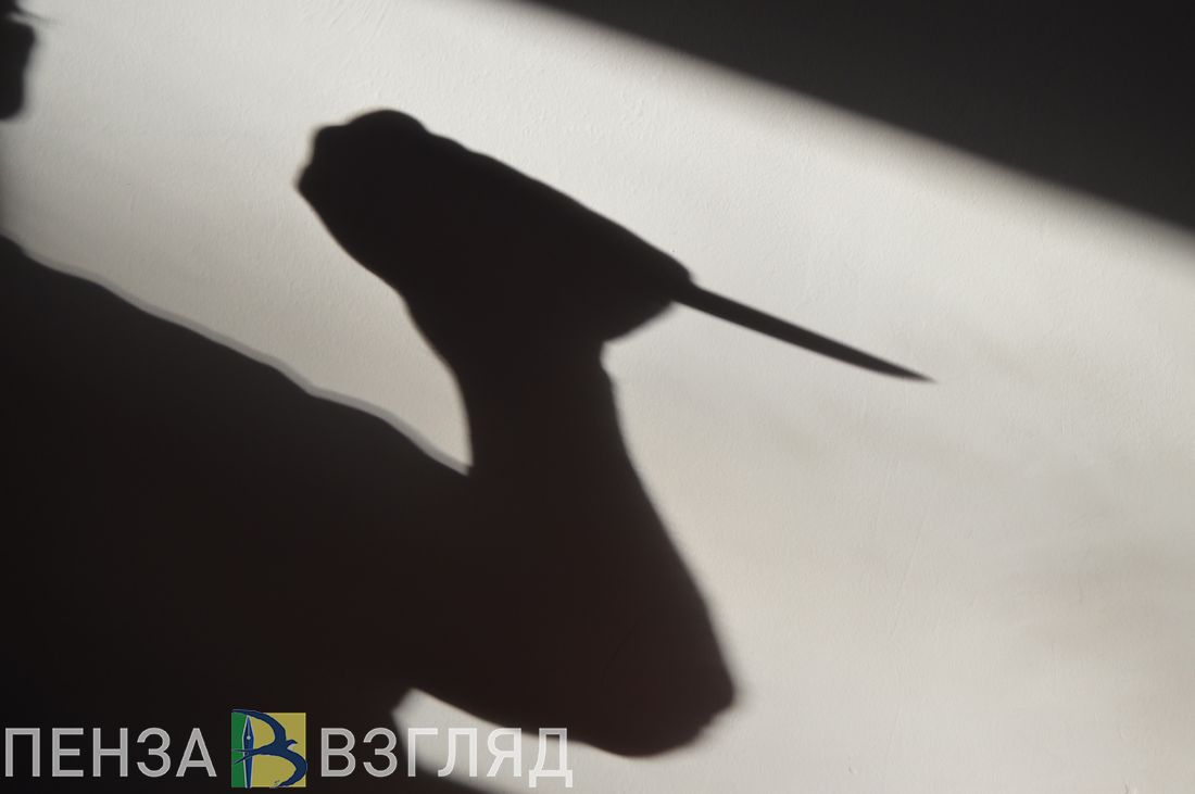 В Пензенской области ветеран боевых действий зарезал не желавшего уходить домой гостя