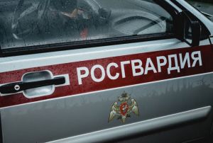 На улице Кирова в Пензе росгвардейцы задержали машину по ориентировке
