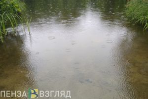 В пруду Пензенской области найдено тело молодого мужчины