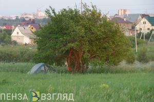 Стало известно, какой погодой завершится первый летний месяц