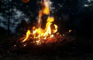В Пензенской области друг помогал убийце скрыть преступление