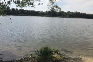 Установлена личность скончавшегося на реке пензенца. Фото