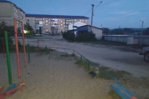 Появились подробности смерти подростка в Пензенской области