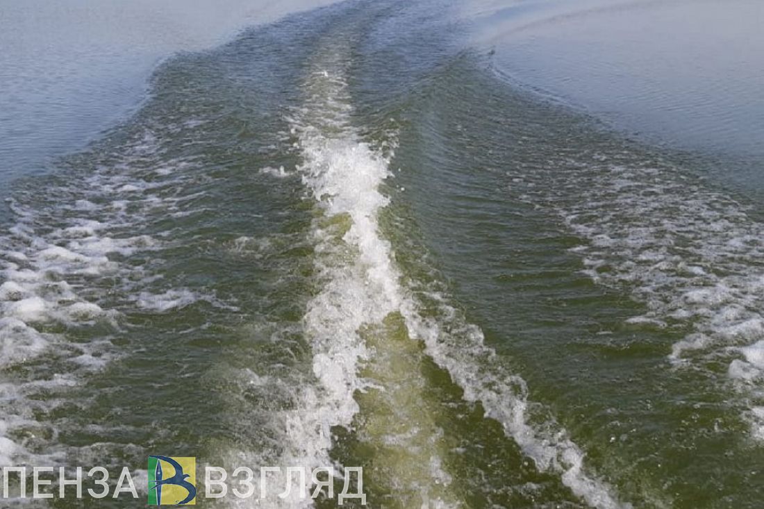 В Пензе на Суре на глазах у очевидцев утонул 25-летний парень