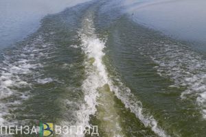 В Пензе на Суре на глазах у очевидцев утонул 25-летний парень