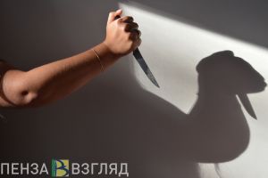 Под Пензой в пьяной ссоре женщина вонзила нож в сожителя
