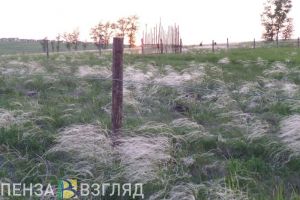 В Пензенской области снова ухудшится погода