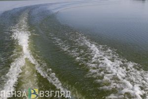 На базе отдыха в Пензенской области утонул молодой мужчина