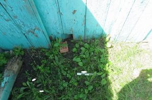 Со следами крови. Обнародованы снимки с места убийства молодого жителя Пензенской области