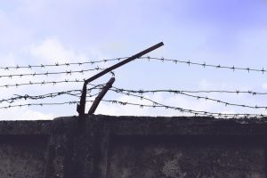 Доцент кафедры пензенского института отправится в колонию за взятку