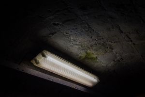 Житель Пензенской области помог спрятать тело убитого товарищем мужчины