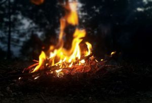 Пензенские спасатели предупредили о высокой вероятности лесных пожаров