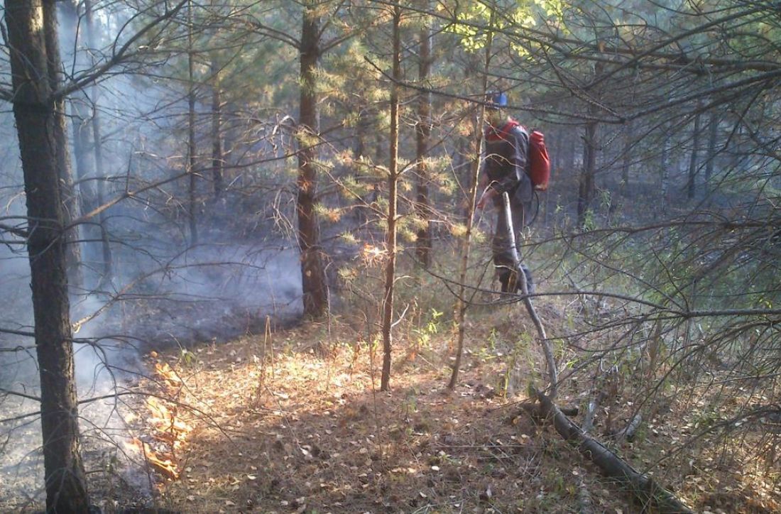 В Пензенской области ликвидирован обширный пожар
