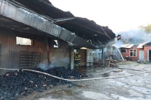 В Пензенской области пожар в пекарне тушили 40 человек