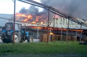 Все в огне. Опубликовано видео вспыхнувшей в Пензенской области пекарни