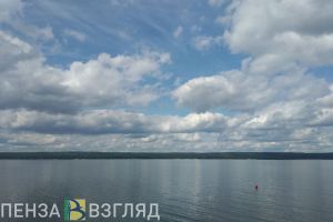 В Пензенской области мужчина упал с моста и захлебнулся в реке