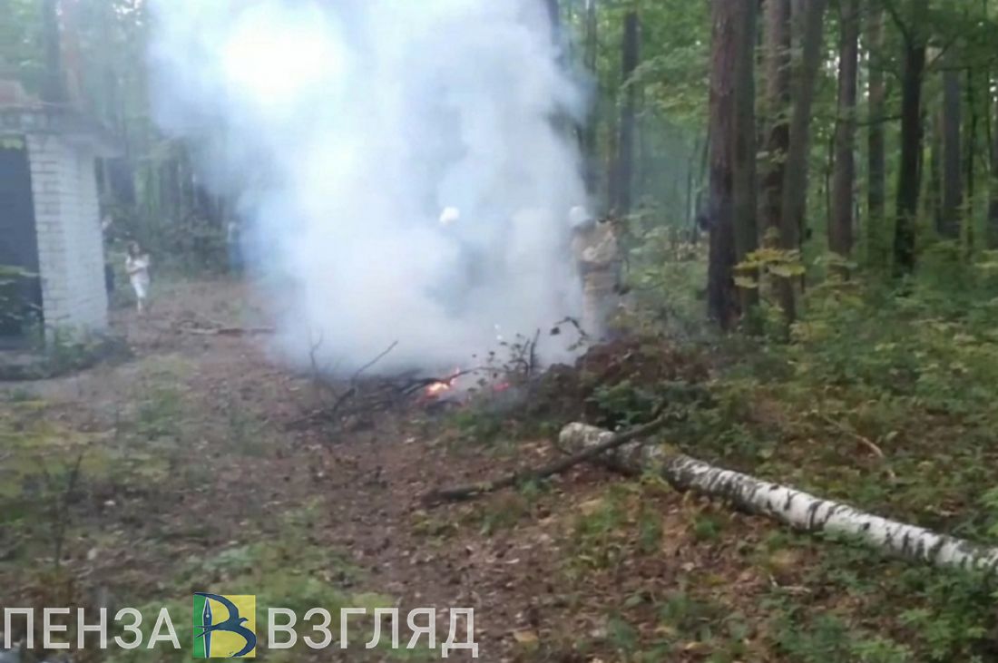 В лесном массиве зареченской зоны отдыха произошел пожар