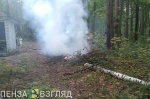 В лесном массиве зареченской зоны отдыха произошел пожар
