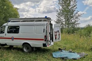 Установлена личность утонувшего в Пензе мужчины