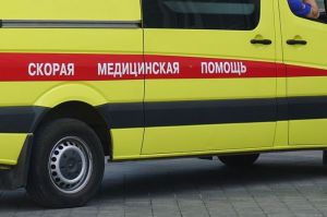 Два малолетних ребенка пострадали в аварии в Пензенской области