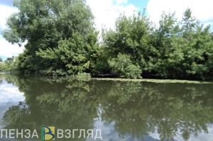 Около острова Пески в Пензе нашли мертвого человека