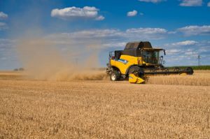 Пензенская область лидирует по урожайности зерновых в ПФО