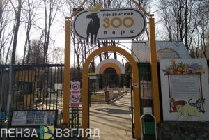 Для посетителей пензенского зоопарка готовят ночную шоу-программу