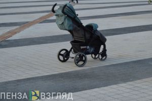 При продаже коляски пензячку лишили денег