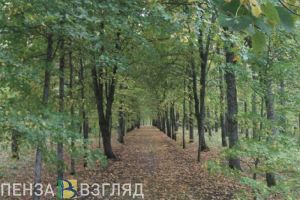 В Пензенской области заметно похолодает
