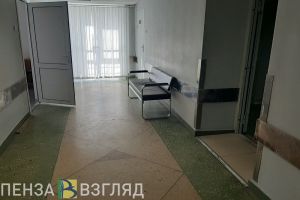 Более 500 детей пострадали от нападения клещей в Пензенской области