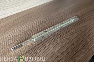 Пензенский губернатор поручил контролировать ситуацию по вакцинации от гриппа