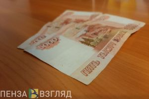 25-летний пензенец остался без проститутки и денег