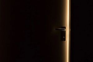 Спасатели нашли в квартире жительницу Пензы без сознания