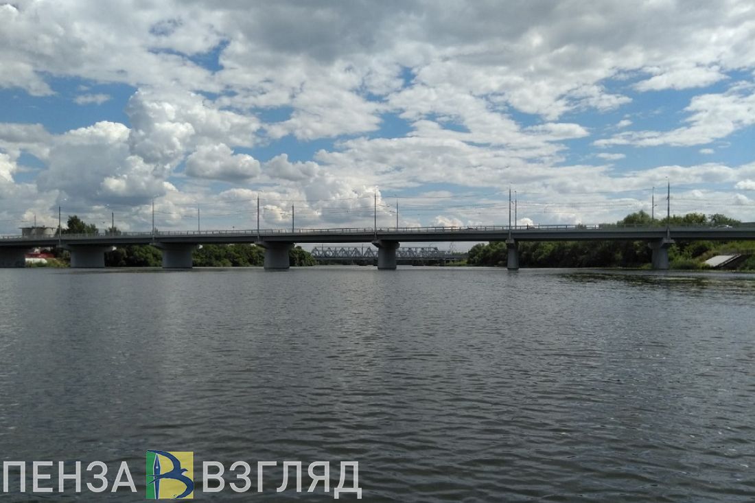 Пензенцы сделают берега Суры чище