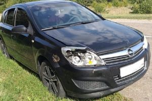 В Пензенской области насмерть задавили косулю