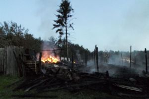 В Пензенской области при возгорании дачных построек пострадал мужчина