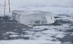 Жительница Пензы отсудила компенсацию за пораненную ногу