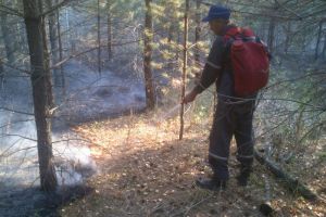 В Пензенской области вспыхнул лес