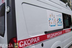 В Пензенской области увезли в больницу мужчину из опрокинувшейся «Нивы»