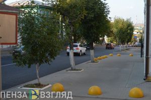 Продление режима повышенной готовности, труп в реке и ухудшение погоды - новости Пензы за 8 сентября
